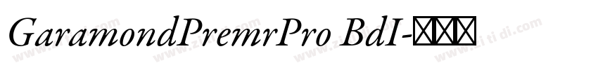 GaramondPremrPro BdI字体转换